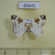 65645p Geometridae Plemyria rubiginata Transbaikal reg. $5