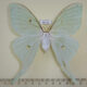 66778p Saturniidae Actias artemis f Primorye $15