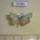 67384p Noctuidae Parhylophila celsiana Primorye $5