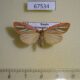 67534p Arctiidae Melanaema venata f Primorye $12
