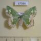 67586p Geometridae Eucyclodes difficta f Primorye $5