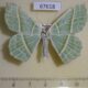 67618p Geometridae Geometra albovenaria f Primorye $9