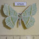67620p Geometridae Geometra albovenaria f Primorye $7