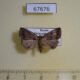 67676p Noctuidae Zanclognatha umbrosalis Primorye $9