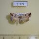 67772p Noctuidae Bryophilopsis griseata Thailand $10