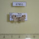 67851p Noctuidae Chorsia costimacula Primorye $7