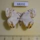 68202p Drepanidae Sewa orbiferata Vietnam $8