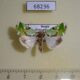 68236p Noctuidae Nacna malachitis Primorye $6