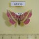 68336p Noctuidae Naganoella timandra Primorye $13