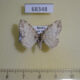 68348p Geometridae Solitanea defricata Amur reg. $6