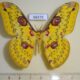 68375p Saturniidae Loepa sikkima Thailand $20