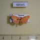 68565p Arctiidae Stigmatophora roseivena Thailand $9