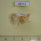 68712p Limacodidae Quasinarosa fulgens Thailand $8
