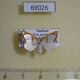 69026p Noctuidae Titulcia confictella f Thailand $8