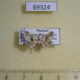 69324p Limacodidae Narosa erminea Thailand $10