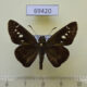 69420p Hesperidae Iton watsonii Thailand $10