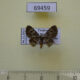 69459p Geometridae Symmimetis heveli Thailand $6