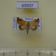 69507p Noctuidae Negeta signata Thailand $12