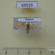 69529p Peleopodidae Scythropiodes sp. Thailand $7