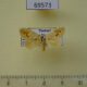 69573p Limacodidae Quasinarosa fulgens f Thailand $9