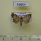 69604p Noctuidae sp. Thailand $12