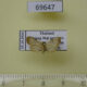 69647p Noctuidae Chorsia sp. Thailand $7