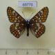 69770p Nymphalidae Euphydryas maturna staudingeri Kazakhstan $6