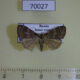 70027p Noctuidae Hydrillodes morosa Amur reg. $6