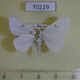 70229p Lymantridae Arctornis l-nigrum ussuricum Primorye $6