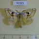 70325p Endromidae Mirina christophi Primorye $5