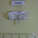 70434p Pterophoridae Pterophorus pentadactyla Krasnoyarsk reg.$7