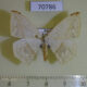 70786p Geometridae Epigynopteryx sp. Uganda $5