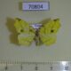70804p Geometridae Epigynopteryx flavedinaria f Uganda $8