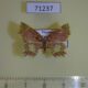 71237p Geometridae Chrysocraspeda f baderi Vietnam $9