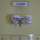71249p Noctuidae Nola fasciata Vietnam $7