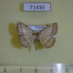 71430p Geometridae Chiasmia normata Uganda $6