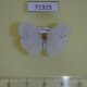 71315p Flatidae Cerynia maria Vietnam $5
