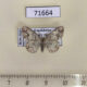 71664p Geometridae Stegania dalmataria Kazakhstan $4