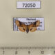 72050p Thyrididae Rhodoneura lobulata Thailand $9