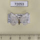 72053p Drepanidae Zusidava tortricaria Thailand $7