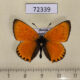 72339p Lycaenidae Heodes virgaureae Khakassia rep. $5