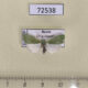 72538p Noctuidae Earias clorana Tyva rep. $5