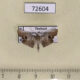 72604p Crambidae sp. Thailand $5