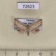 72623p Noctuidae Hyposada ruptifascia Thailand $25