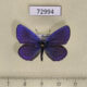 72994p Lycaenidae Plebeius argyrognomon Tyva rep. $6