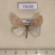 73230p Geometridae Idiotephria evanescens Primorye $7
