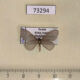73294p Psychidae sp. Amur reg. $8
