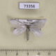 73356p Geometridae Gypsochroa renitidata Tyva rep. $4