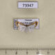 73947p Crambidae Leucinodella leucostola Vietnam $8