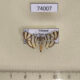 74007p Crambidae Synclera tibialis Vietnam $4